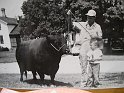  Pearse and Gary with prize bull